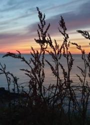Aberporth-Coast-Path-Sunset-Long-Grass-Estyn-y-Mor-