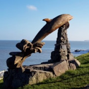 Aberporth-Dolphin-Esytn-Y-Mor